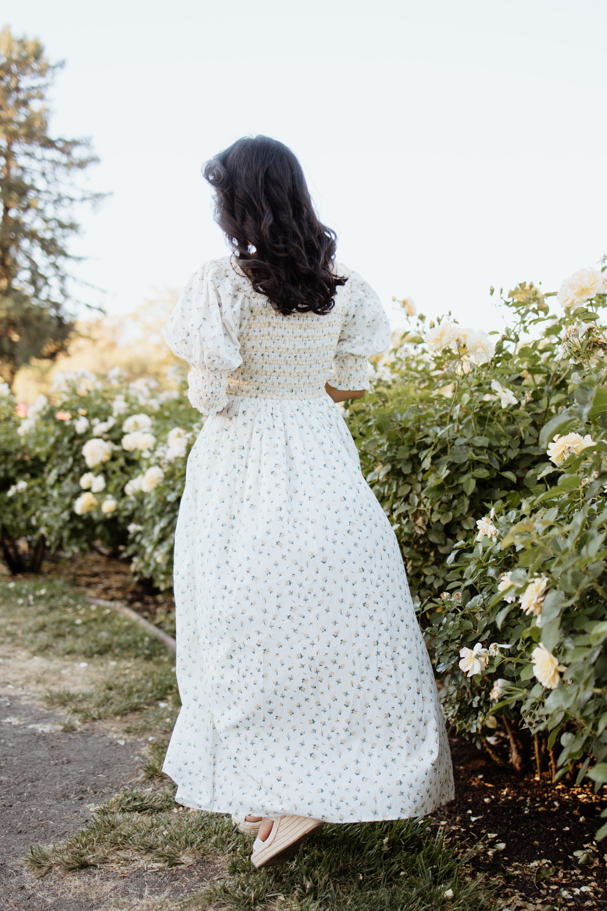 Sofia Embroidered Cotton Floral Dress Sofia Embroidered Cotton Floral Dress